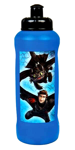 Dragons Drachen Ohnezahn Trinkflasche Flasche neu